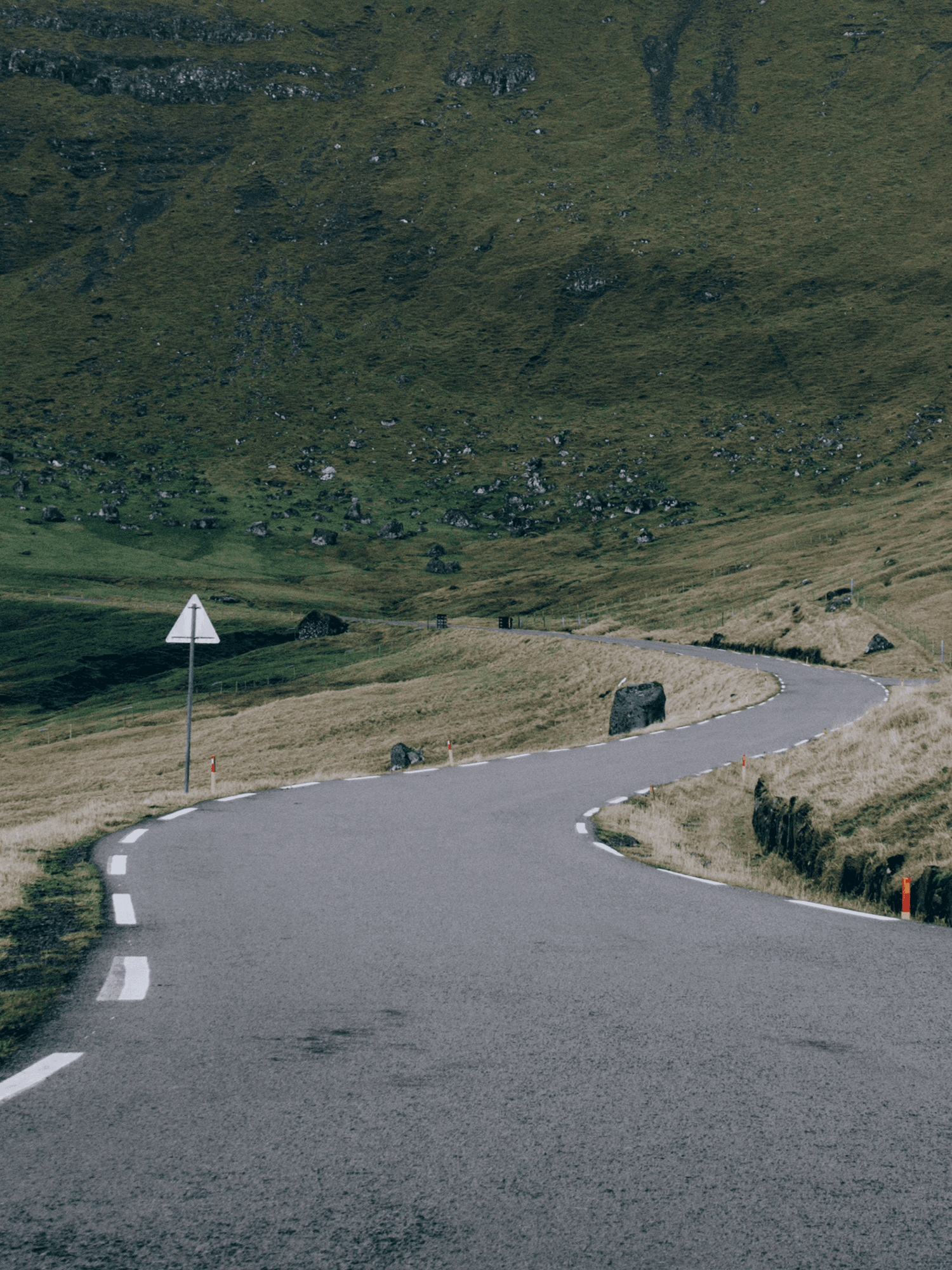 Landscape image of a road in Norwegian nature